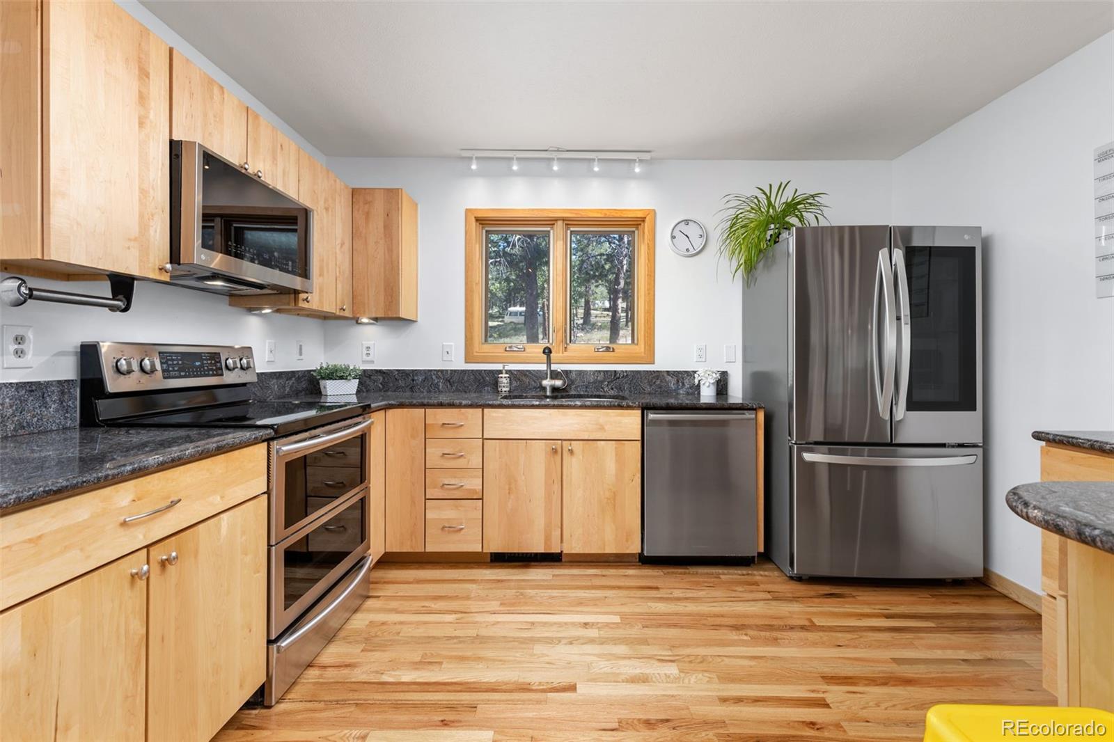 MLS Image #9 for 84  albert drive,rollinsville, Colorado