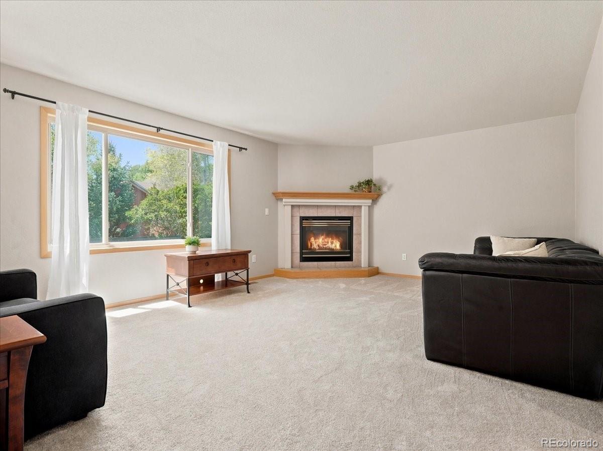 MLS Image #10 for 1515  carmela court,fort collins, Colorado