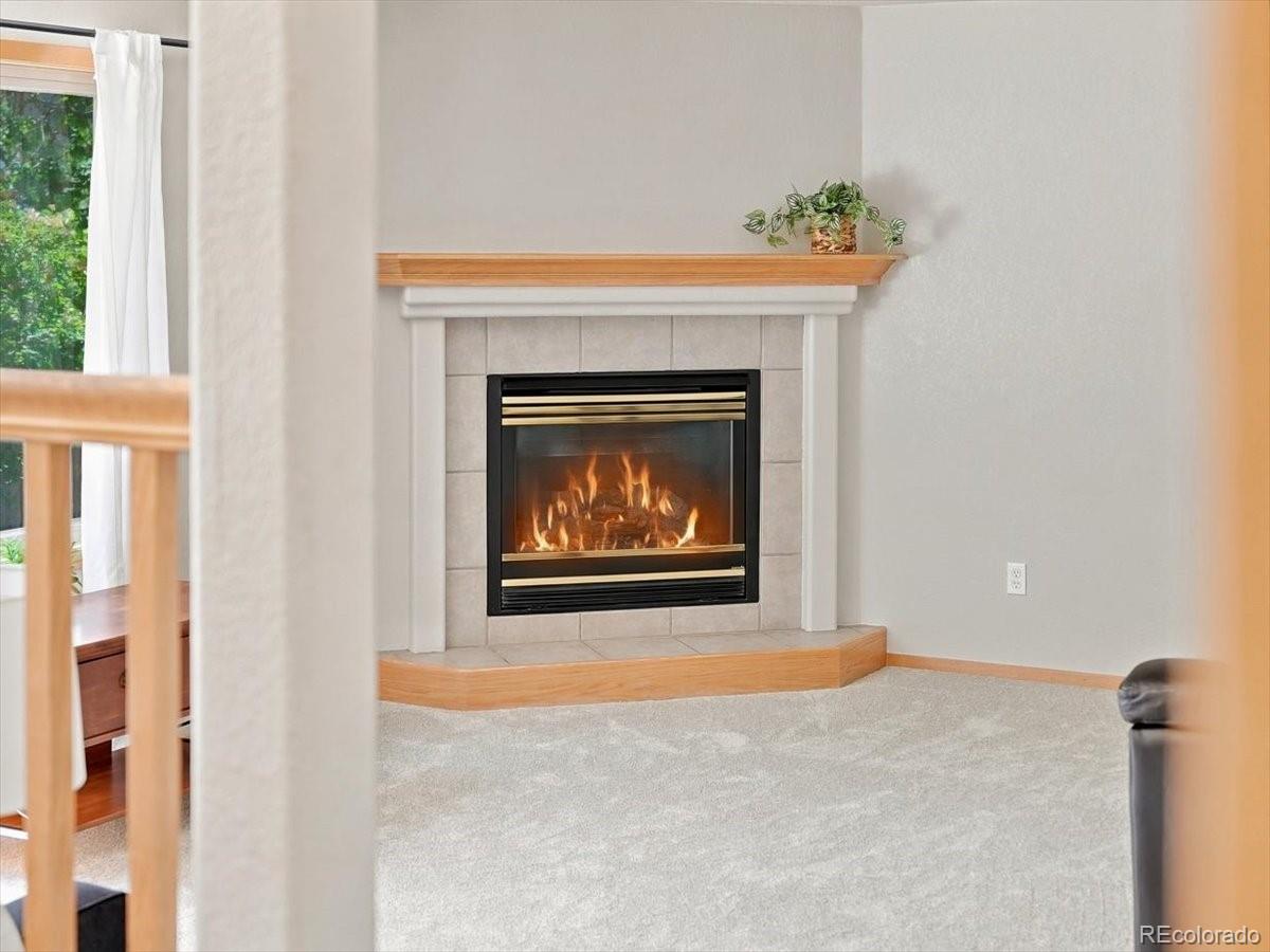 MLS Image #3 for 1515  carmela court,fort collins, Colorado