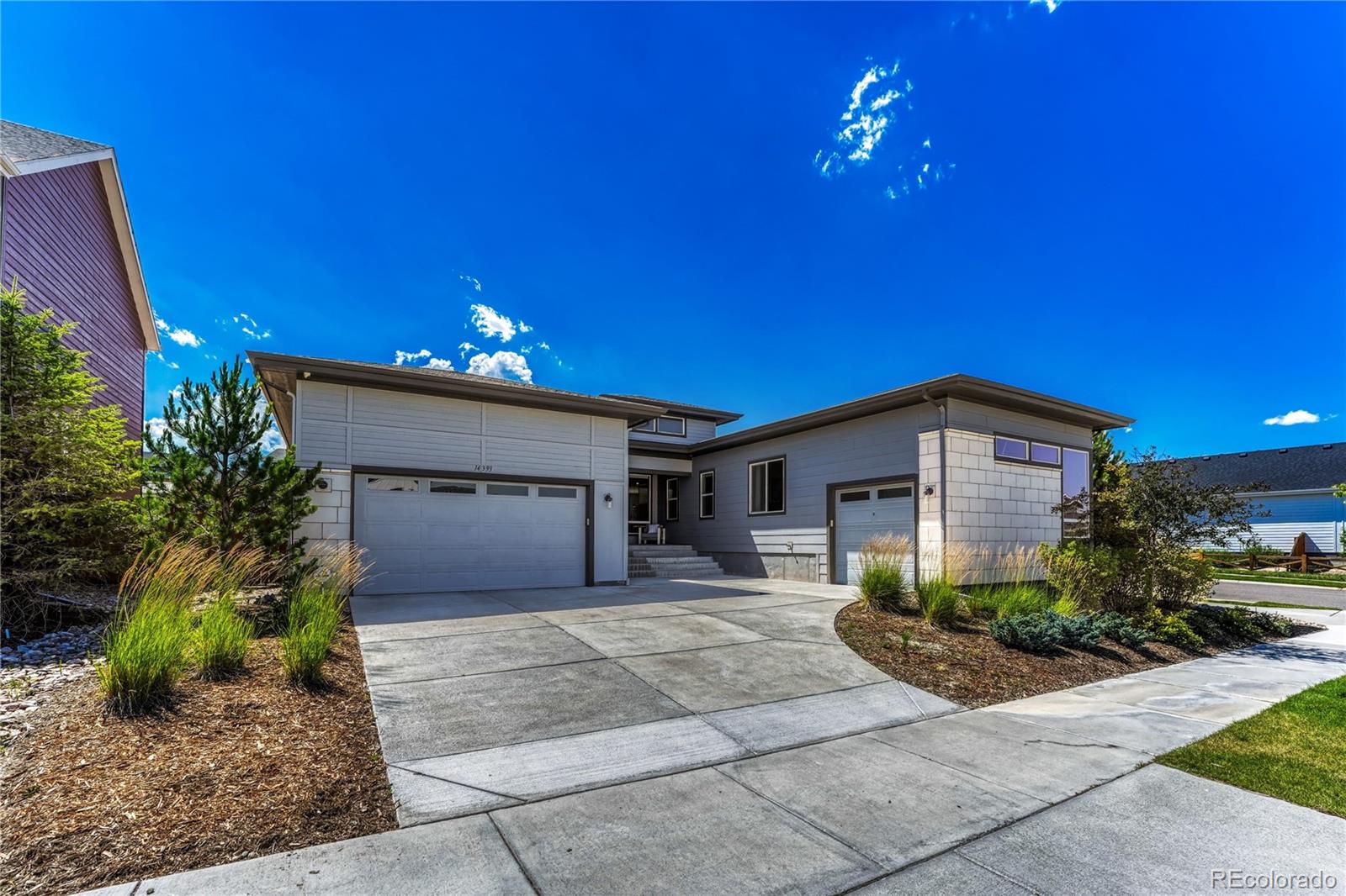 MLS Image #0 for 14393  hop clover trail,parker, Colorado