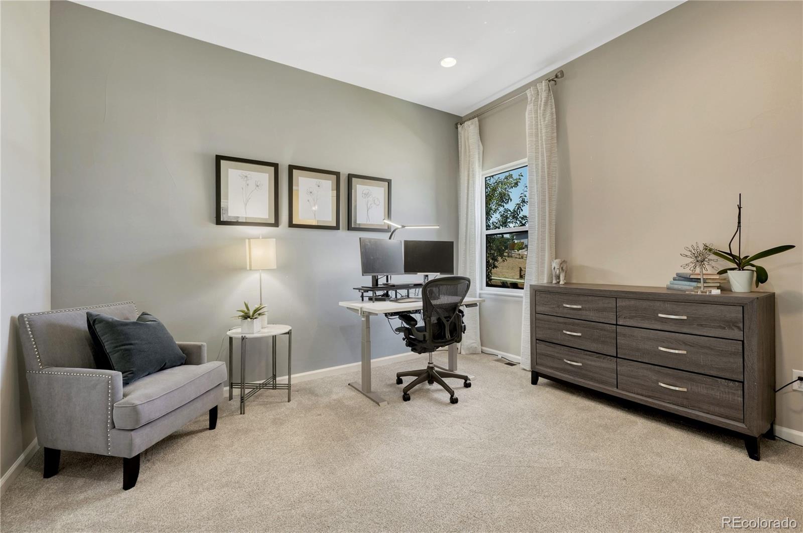 MLS Image #16 for 14393  hop clover trail,parker, Colorado