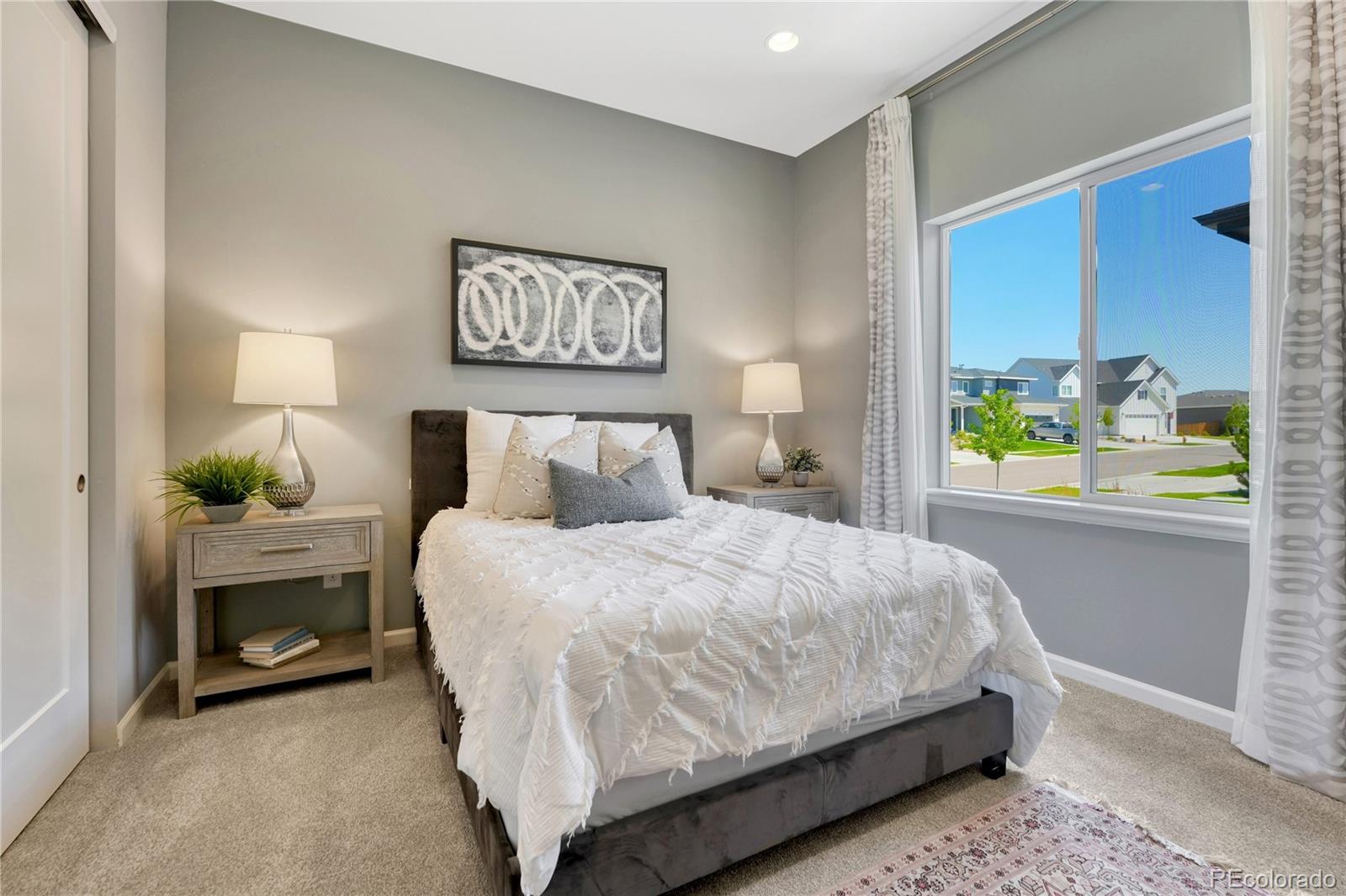 MLS Image #18 for 14393  hop clover trail,parker, Colorado