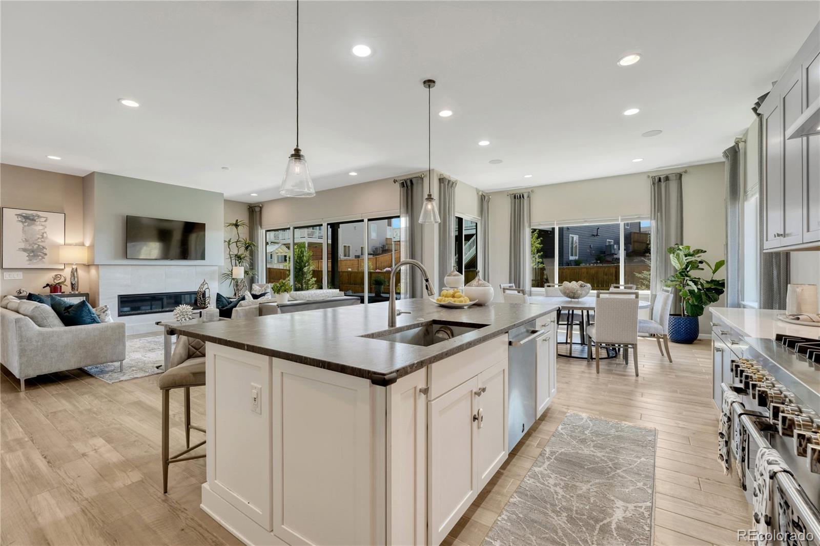 MLS Image #2 for 14393  hop clover trail,parker, Colorado