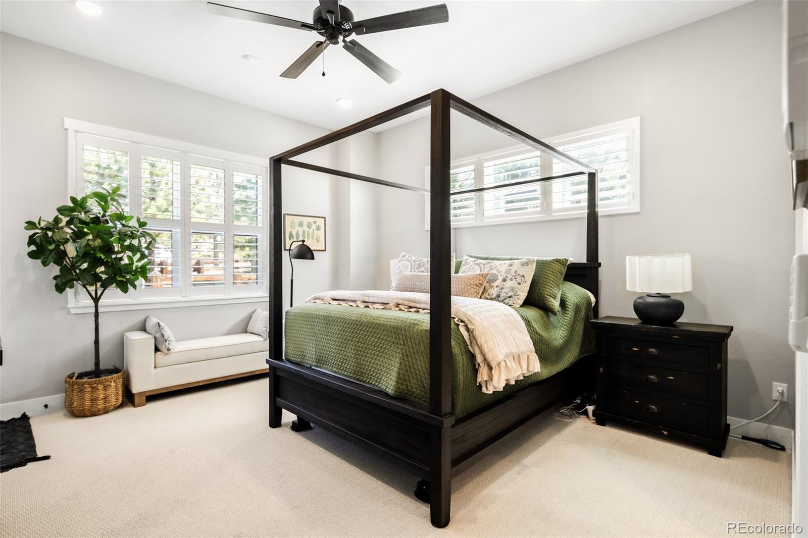 MLS Image #12 for 7008  homeplace point,castle rock, Colorado