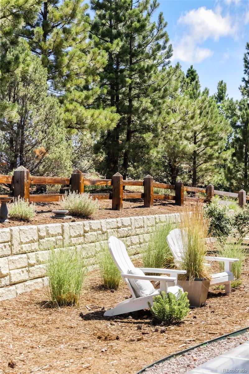 MLS Image #30 for 7008  homeplace point,castle rock, Colorado
