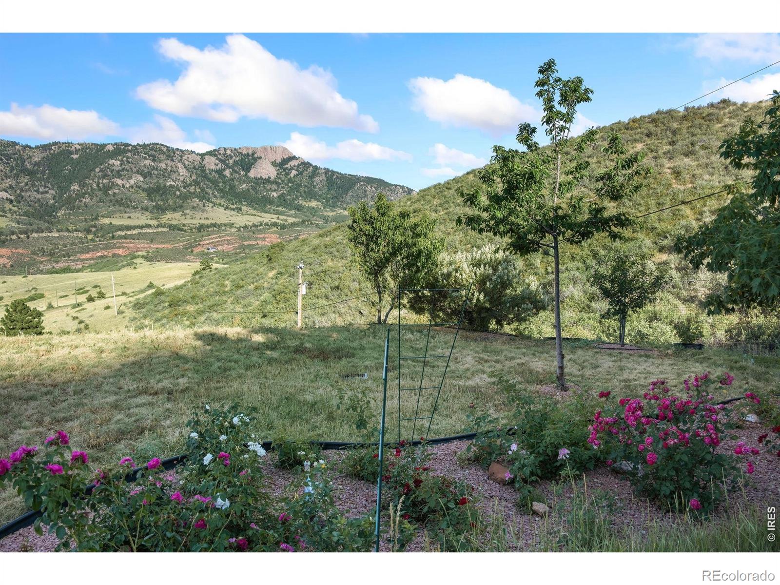 MLS Image #40 for 15121  lazuli road,loveland, Colorado
