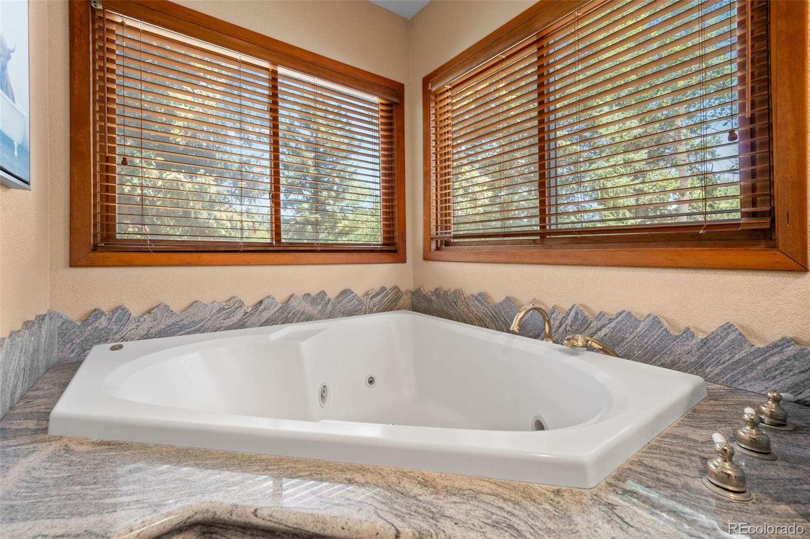 MLS Image #13 for 8497  custer lane,evergreen, Colorado