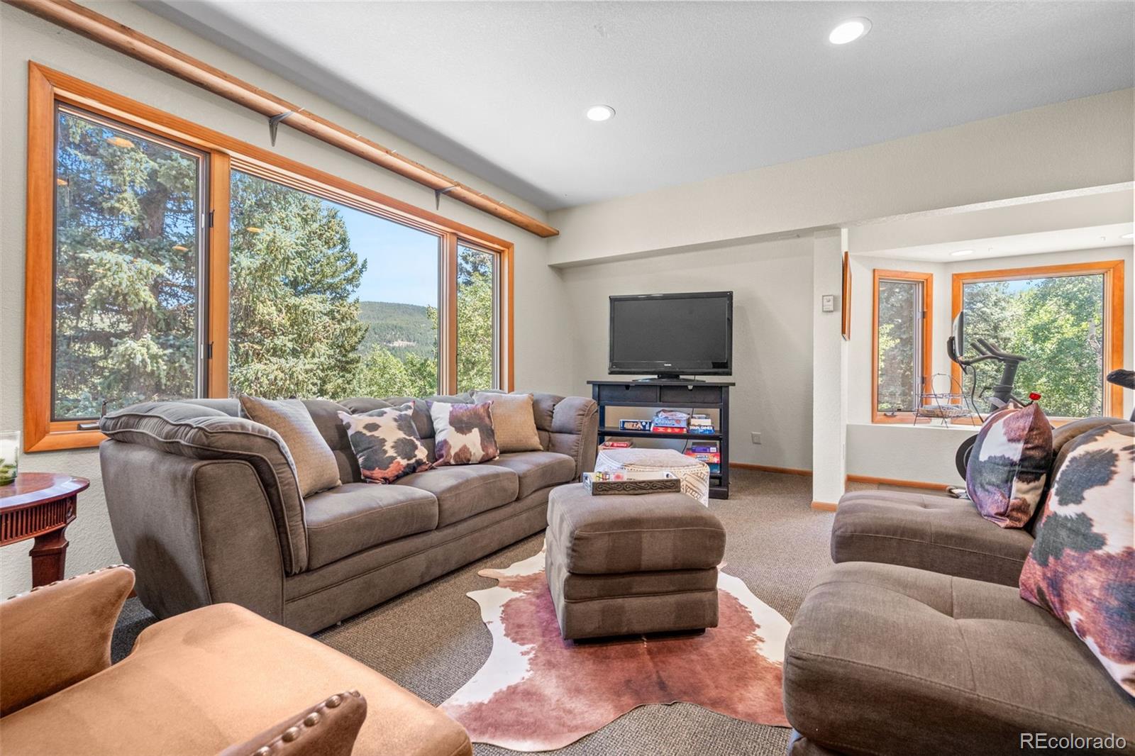 MLS Image #23 for 8497  custer lane,evergreen, Colorado