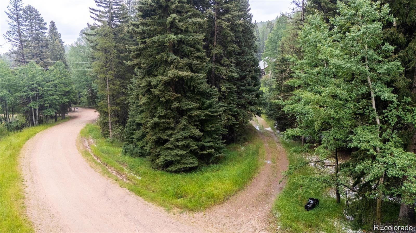 MLS Image #3 for 11173 s barney gulch road,conifer, Colorado