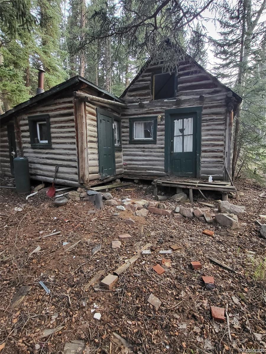 MLS Image #4 for 11173 s barney gulch road,conifer, Colorado