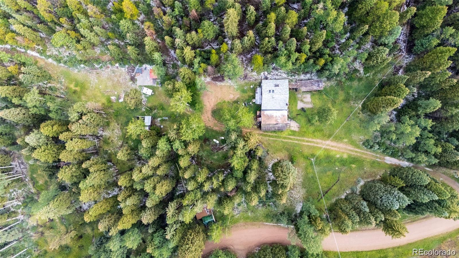MLS Image #7 for 11173 s barney gulch road,conifer, Colorado