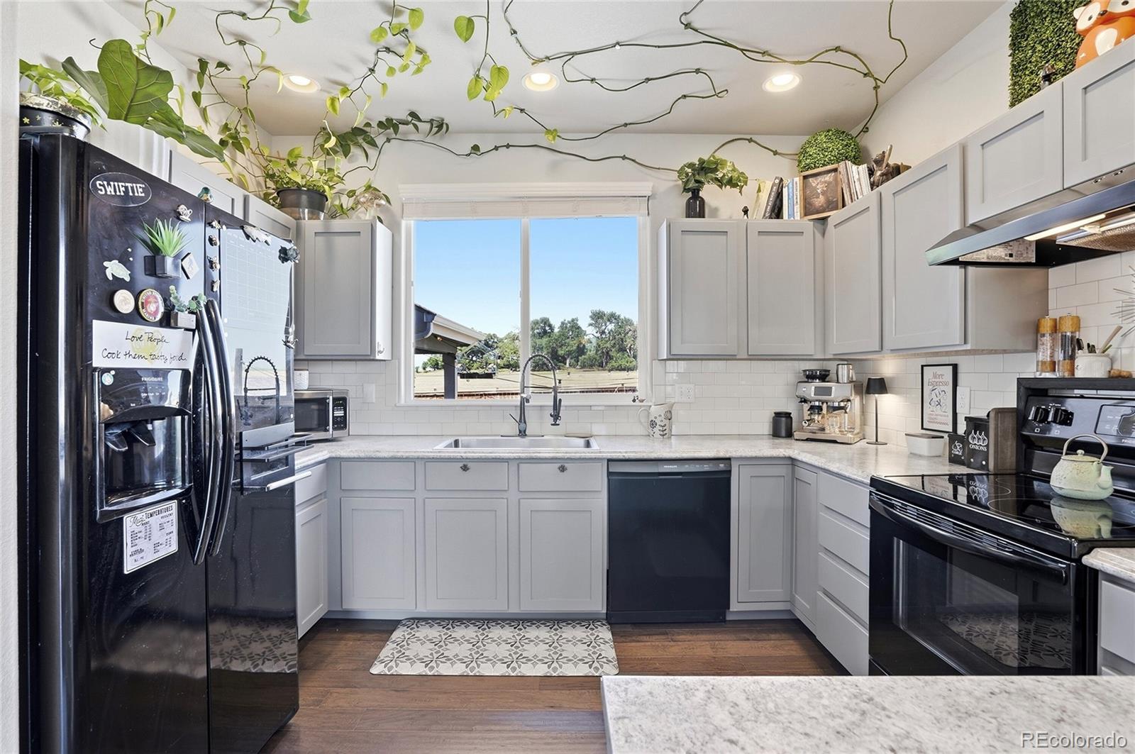 MLS Image #15 for 1068  mt oxford avenue,windsor, Colorado