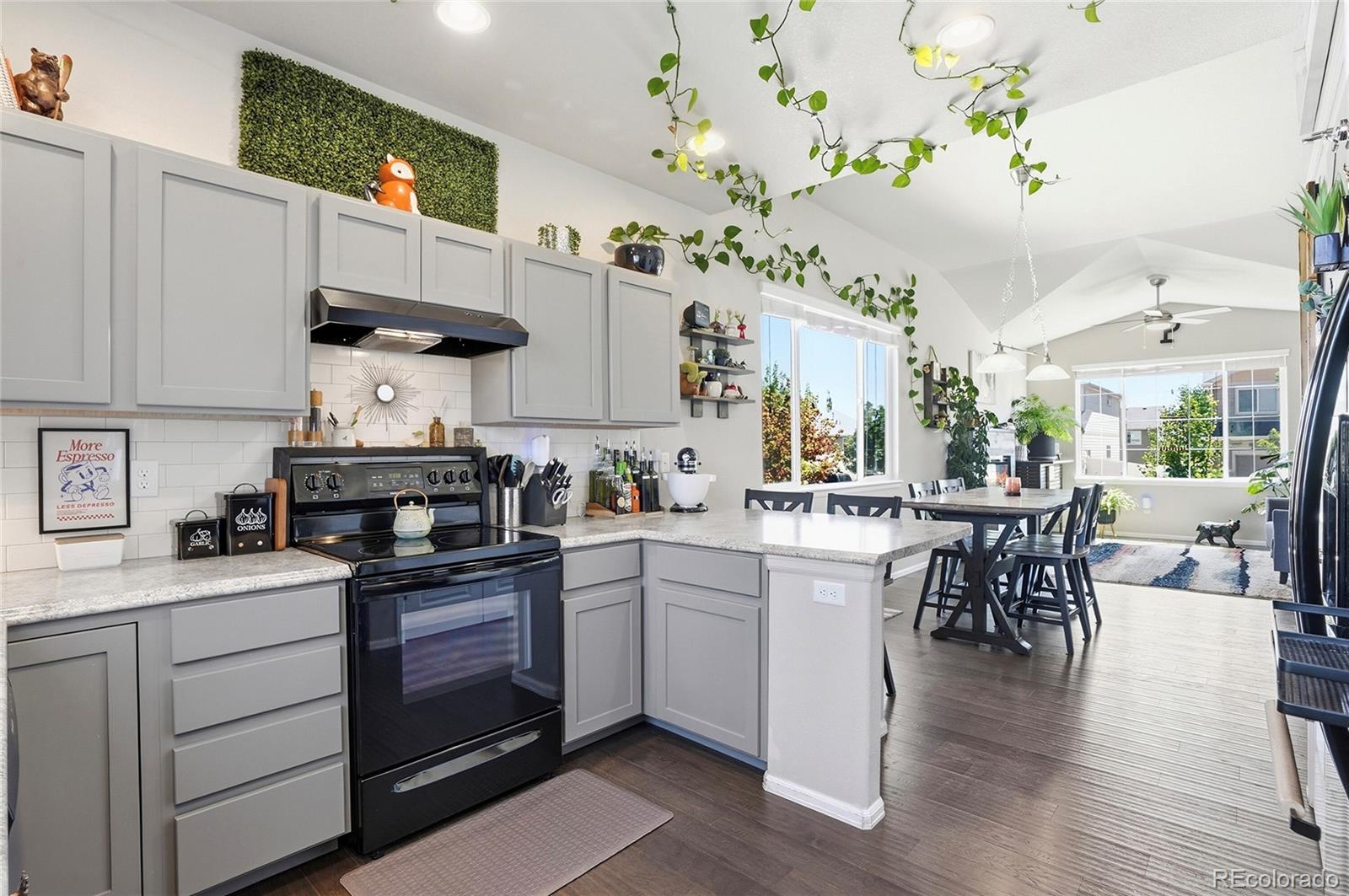 MLS Image #16 for 1068  mt oxford avenue,windsor, Colorado