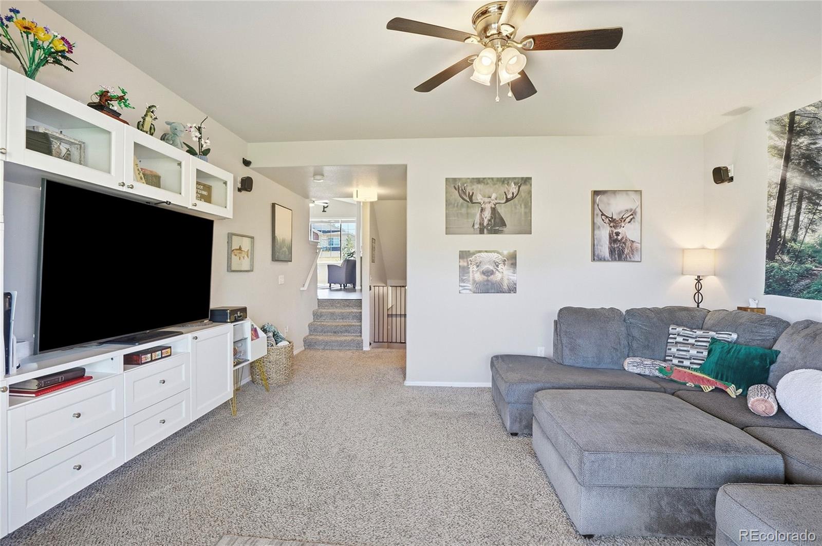 MLS Image #21 for 1068  mt oxford avenue,windsor, Colorado
