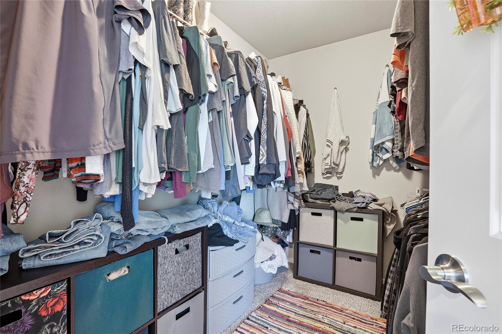 MLS Image #28 for 1068  mt oxford avenue,windsor, Colorado