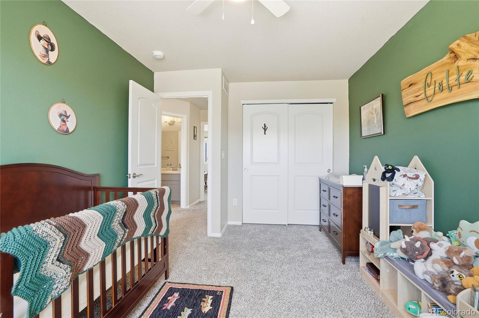 MLS Image #31 for 1068  mt oxford avenue,windsor, Colorado