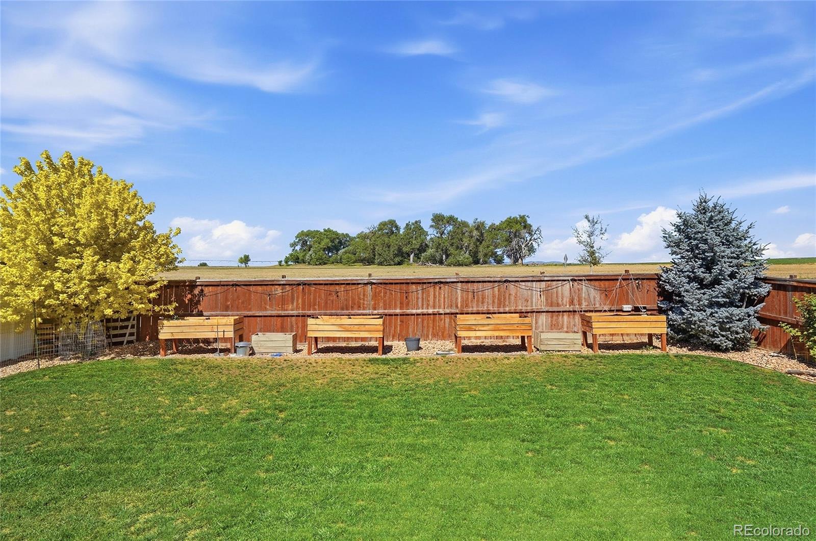 MLS Image #43 for 1068  mt oxford avenue,windsor, Colorado