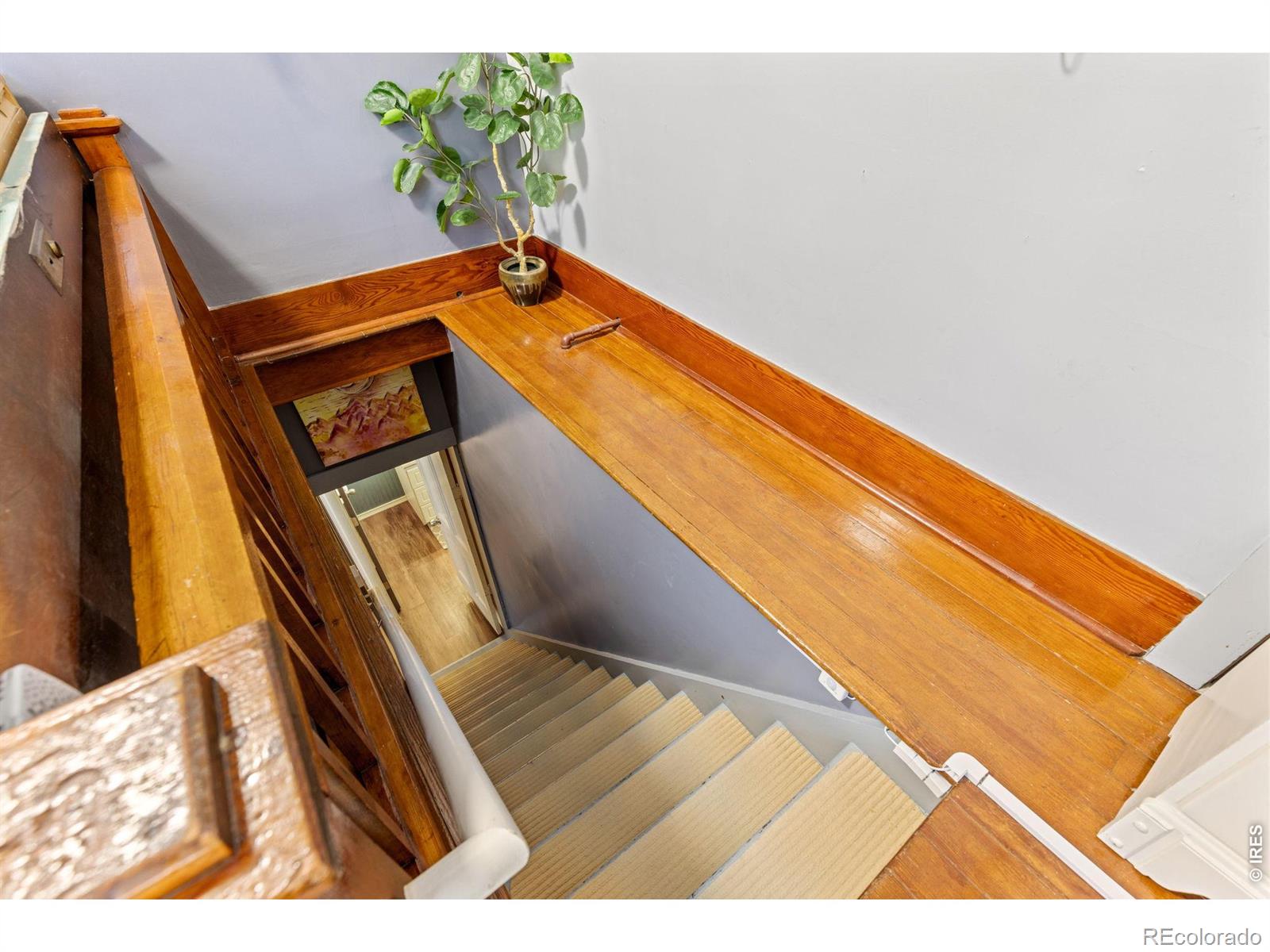 MLS Image #36 for 631  la farge avenue,louisville, Colorado