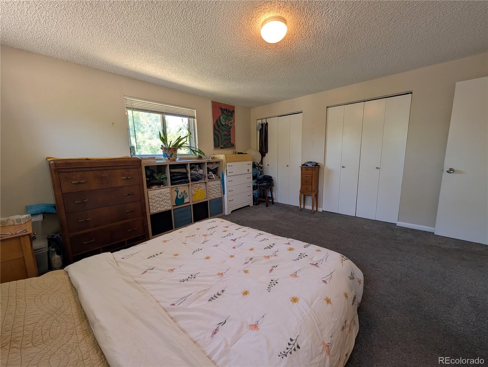 MLS Image #10 for 8226  yarrow court,arvada, Colorado