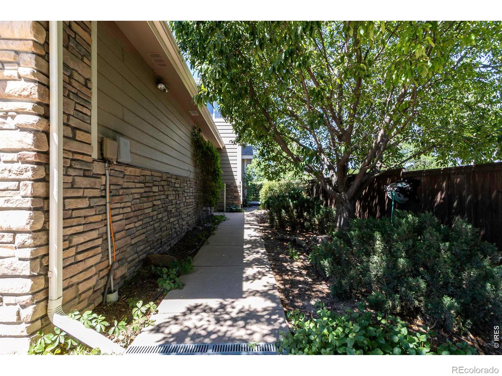 MLS Image #4 for 702  cairnes drive,fort collins, Colorado