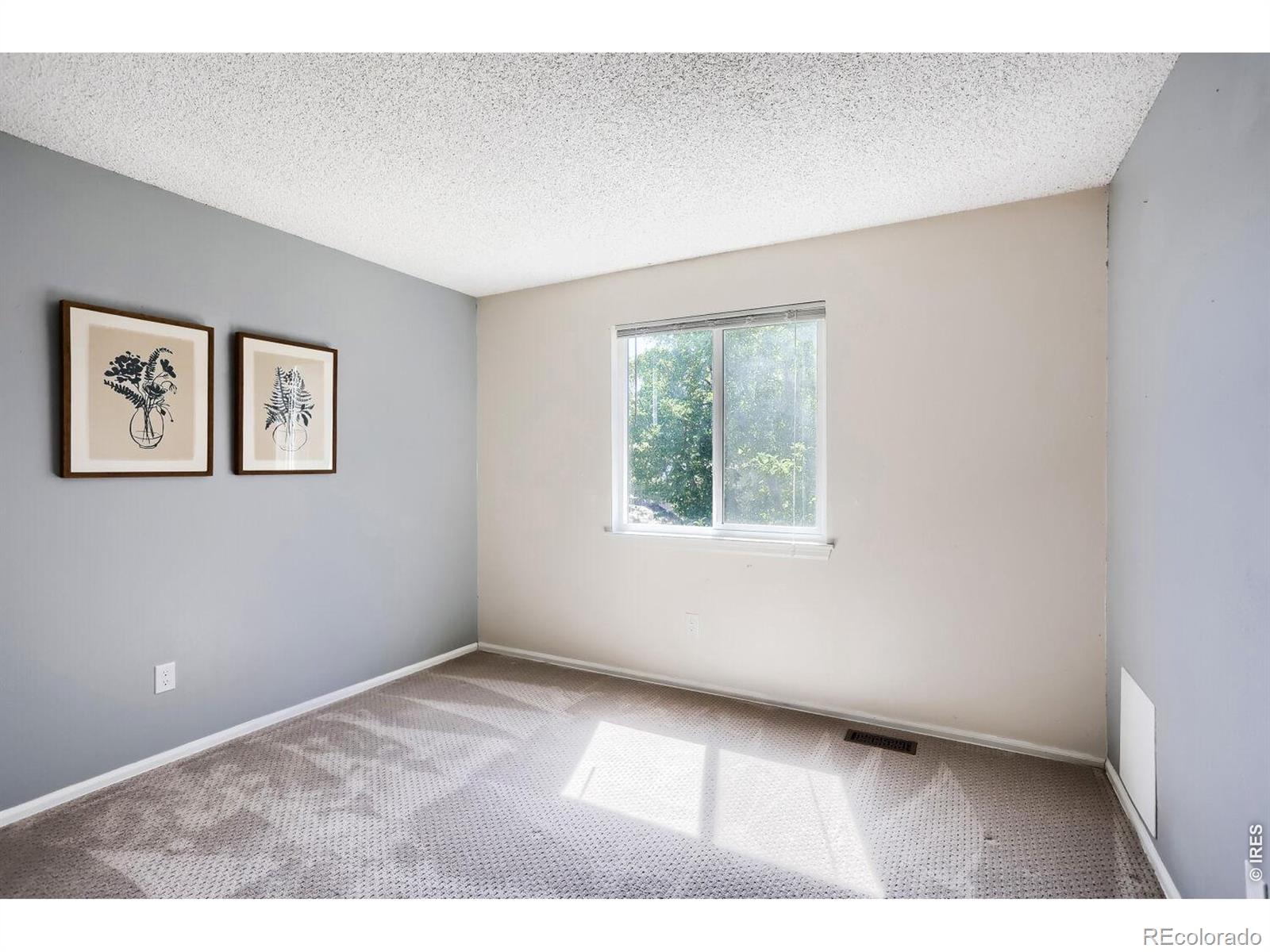 MLS Image #15 for 11553  ingalls street,broomfield, Colorado
