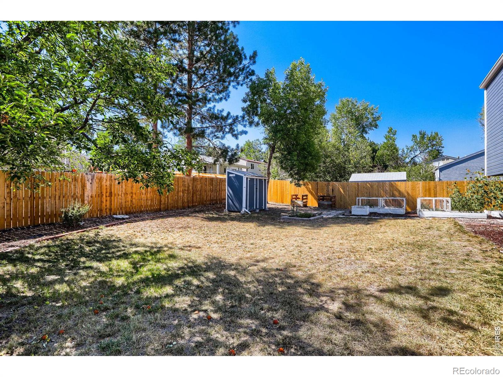 MLS Image #25 for 11553  ingalls street,broomfield, Colorado