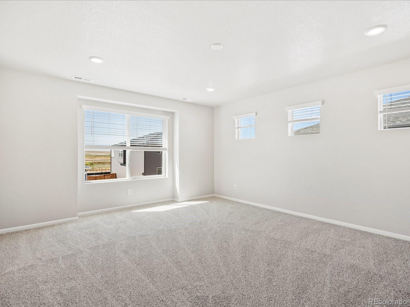 MLS Image #11 for 17617  e. 89th way,commerce city, Colorado