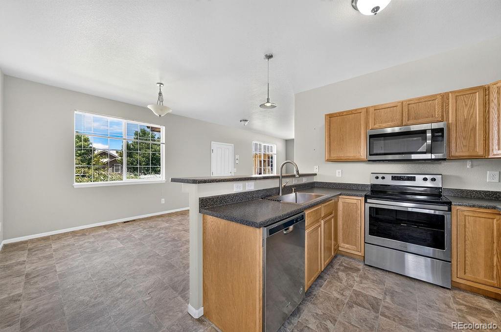 MLS Image #12 for 370  naples street,firestone, Colorado