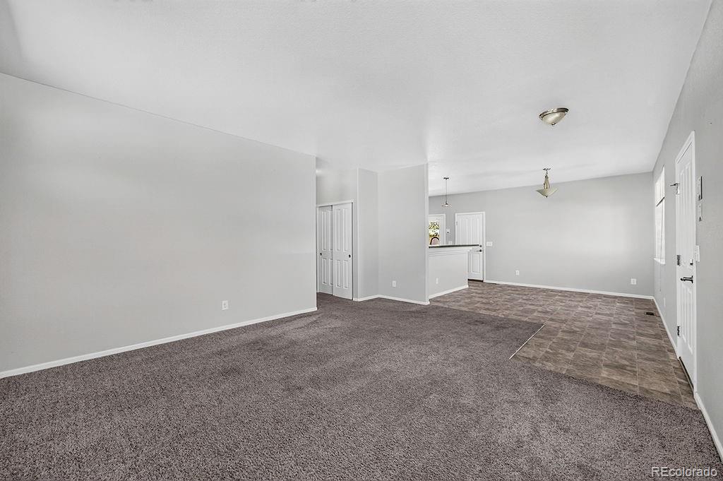 MLS Image #23 for 370  naples street,firestone, Colorado