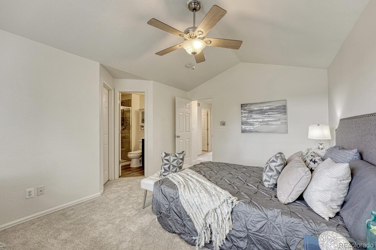 MLS Image #20 for 12772  henson creek street,parker, Colorado
