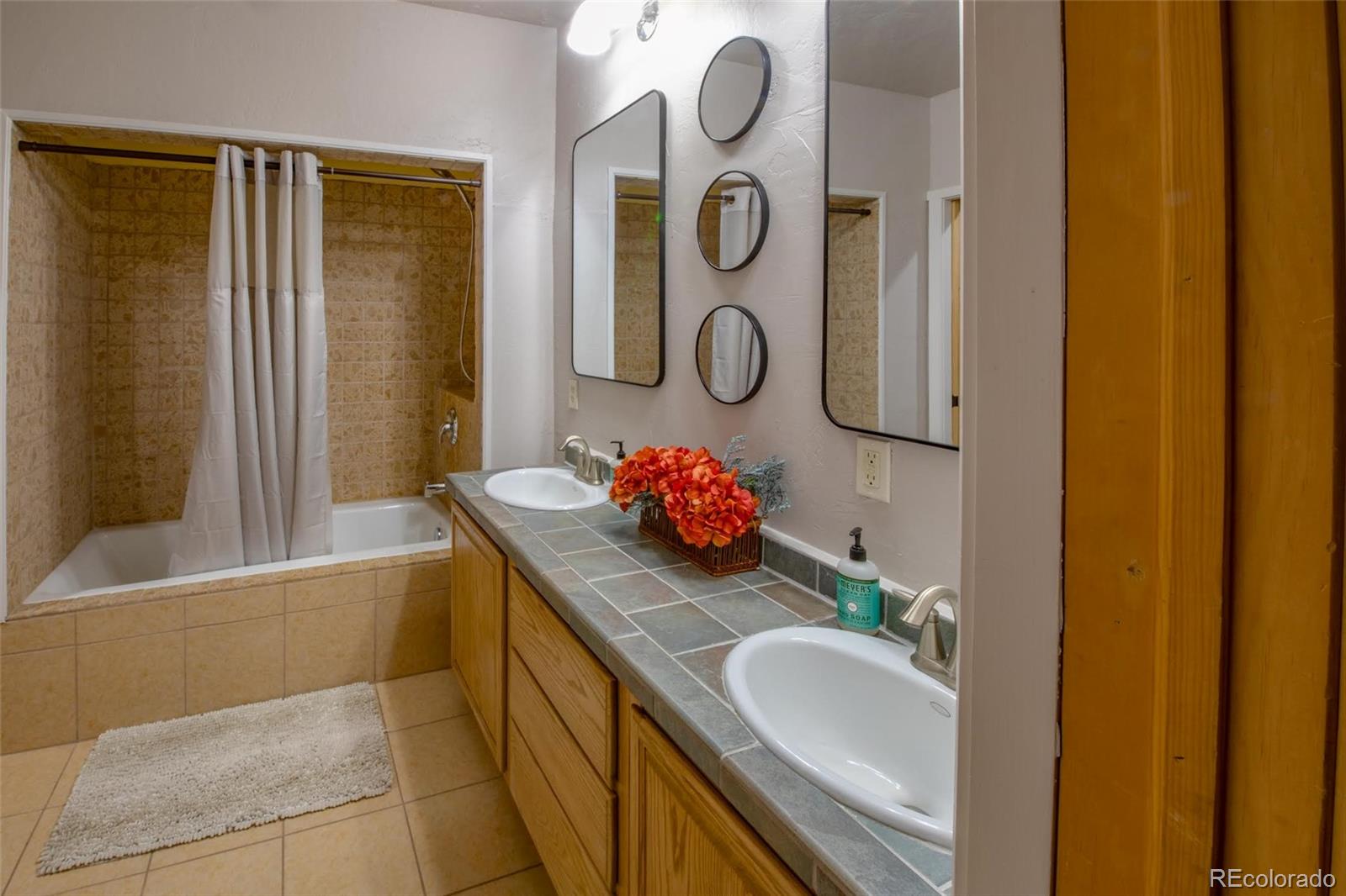 MLS Image #20 for 2842  wendt lane,fort garland, Colorado