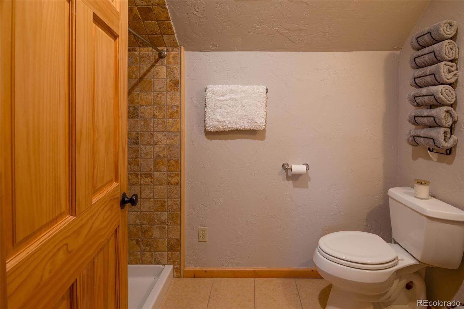 MLS Image #28 for 2842  wendt lane,fort garland, Colorado