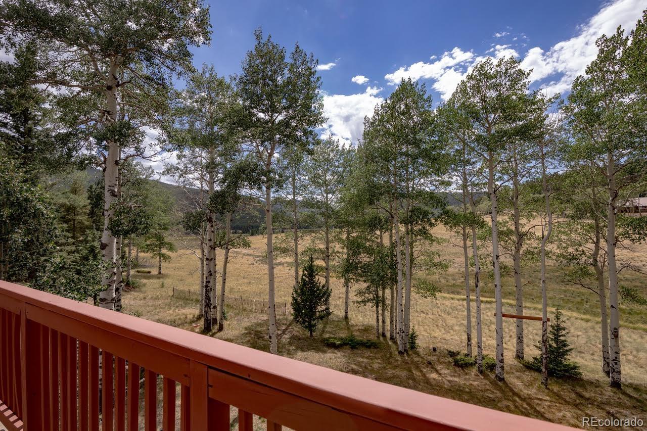 MLS Image #3 for 2842  wendt lane,fort garland, Colorado