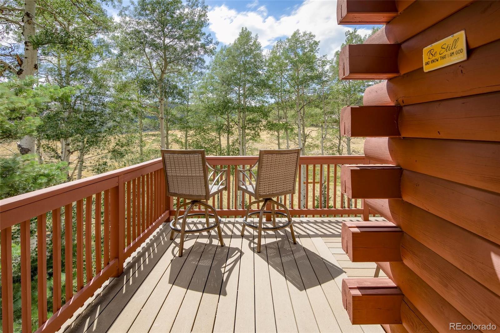 MLS Image #31 for 2842  wendt lane,fort garland, Colorado