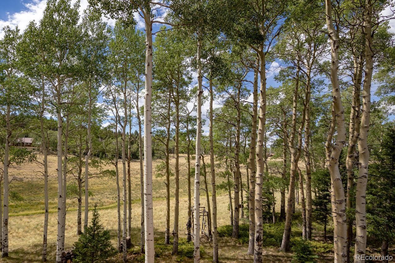 MLS Image #37 for 2842  wendt lane,fort garland, Colorado