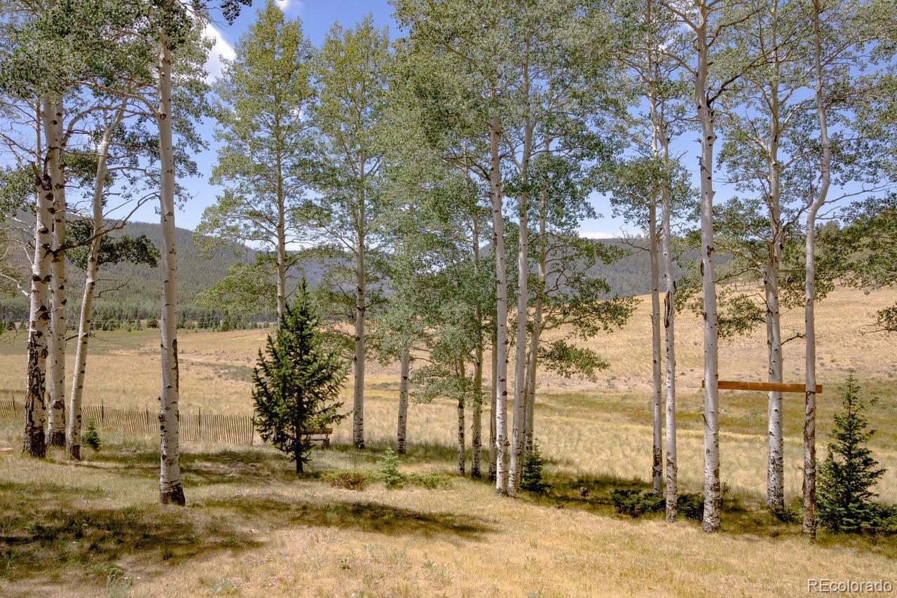 MLS Image #4 for 2842  wendt lane,fort garland, Colorado