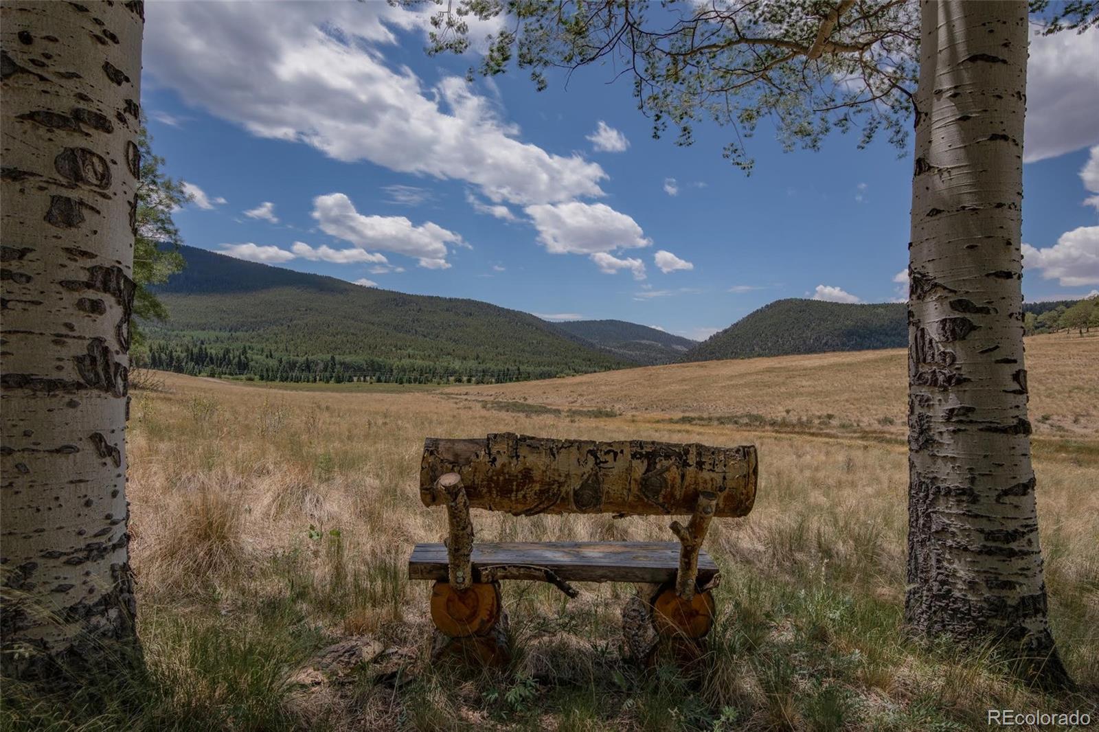 MLS Image #42 for 2842  wendt lane,fort garland, Colorado