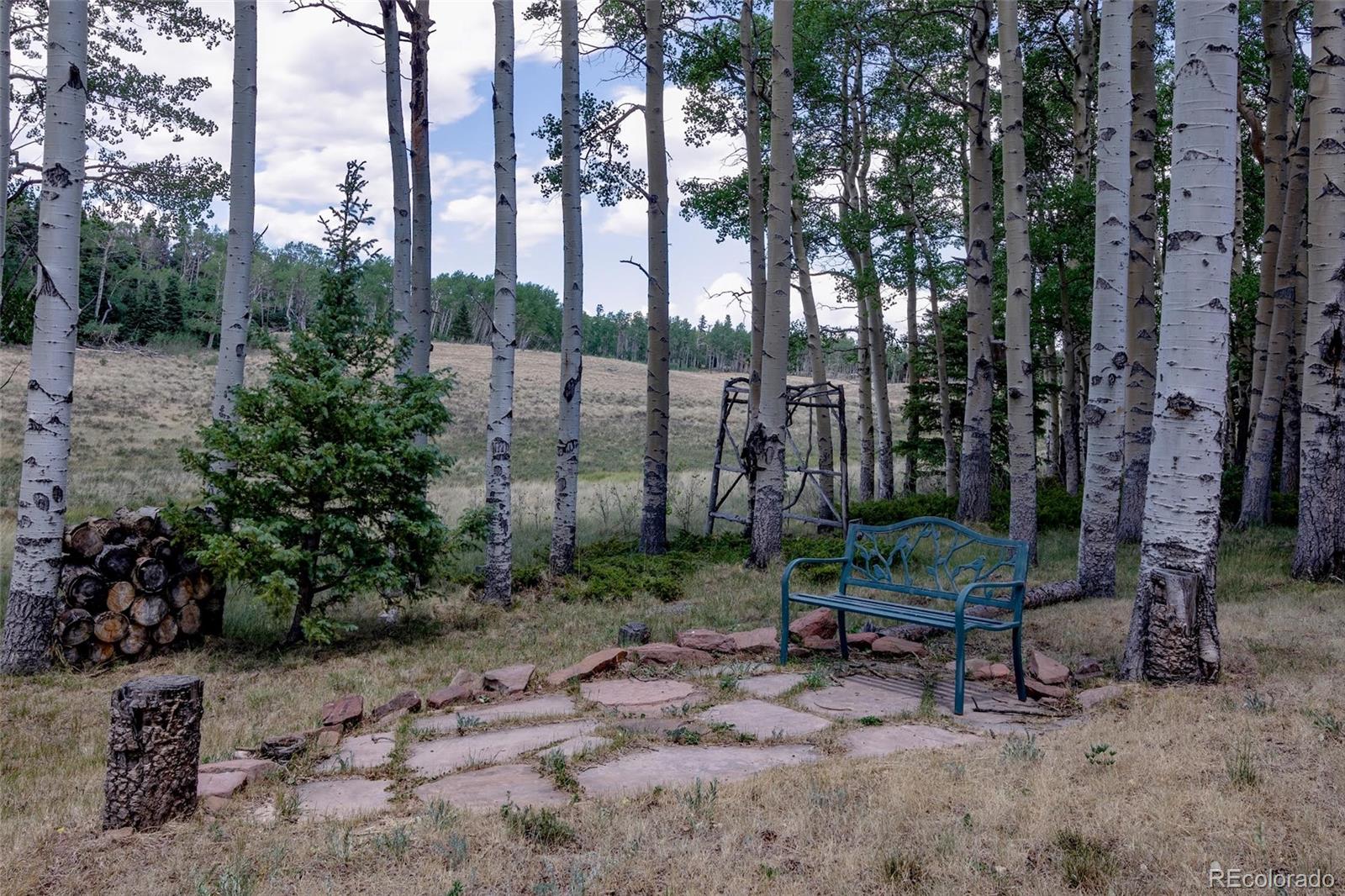 MLS Image #43 for 2842  wendt lane,fort garland, Colorado