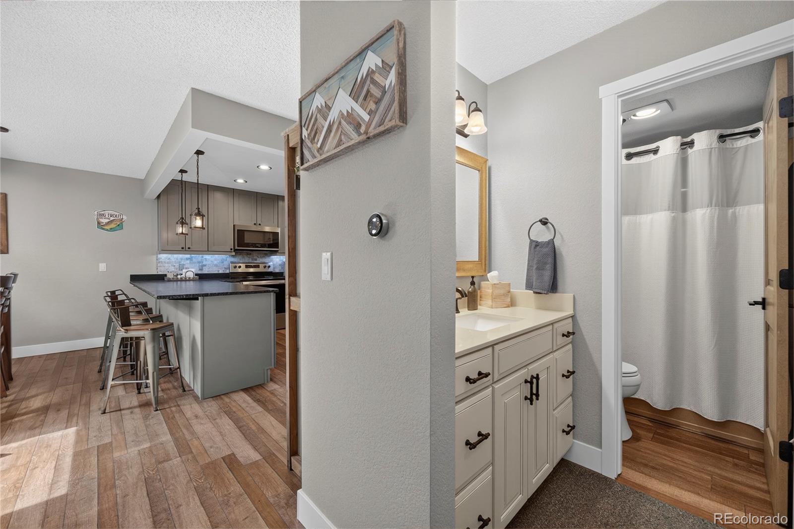 MLS Image #16 for 357  hi country drive,winter park, Colorado