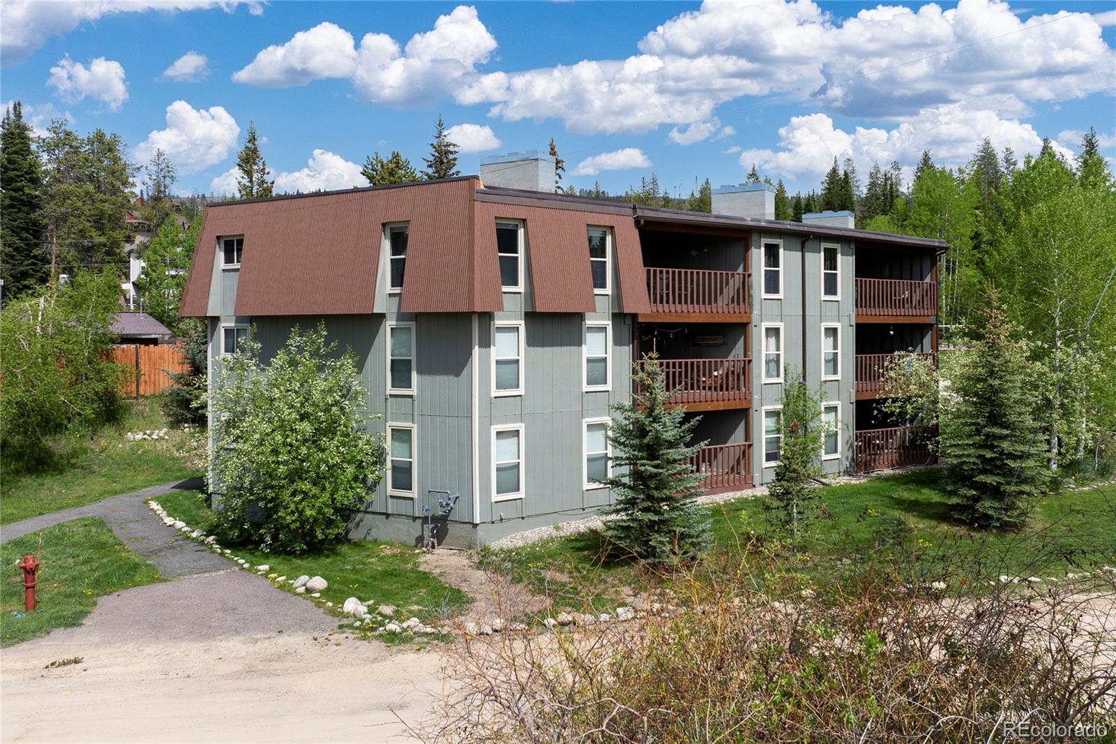 MLS Image #30 for 357  hi country drive,winter park, Colorado