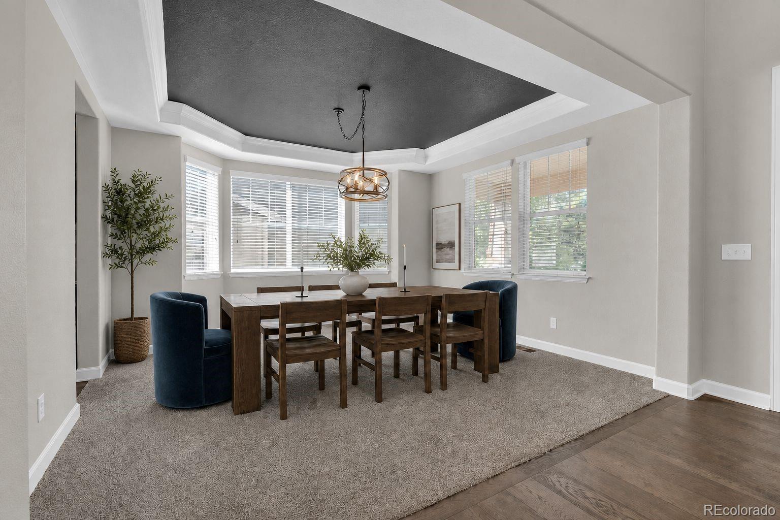 MLS Image #5 for 5728  clover ridge circle,castle rock, Colorado