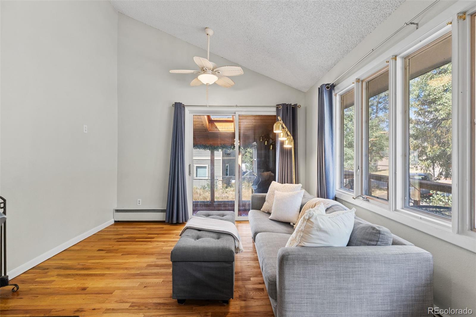 MLS Image #10 for 1054  straight creek drive,dillon, Colorado