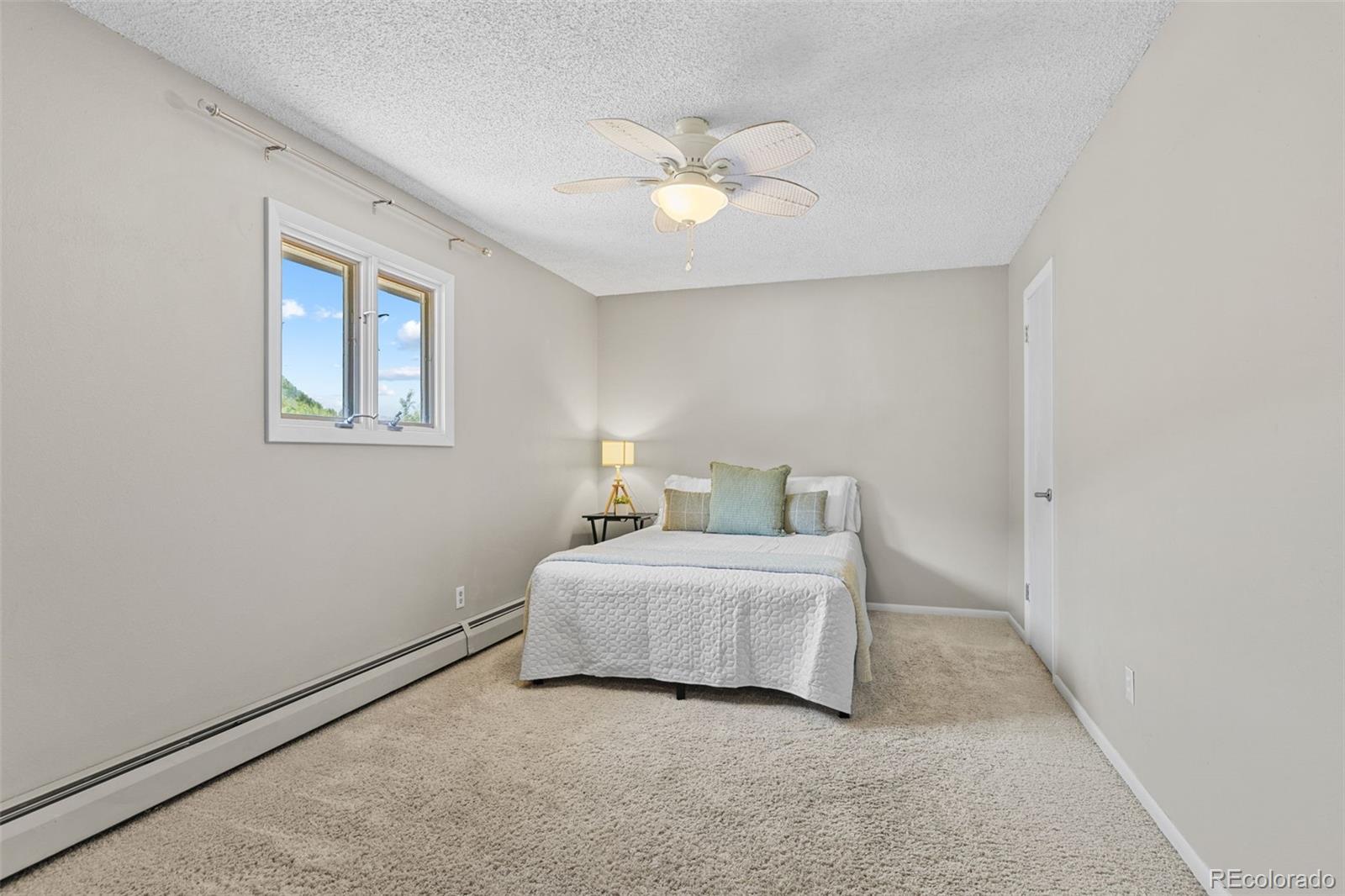 MLS Image #19 for 1054  straight creek drive,dillon, Colorado