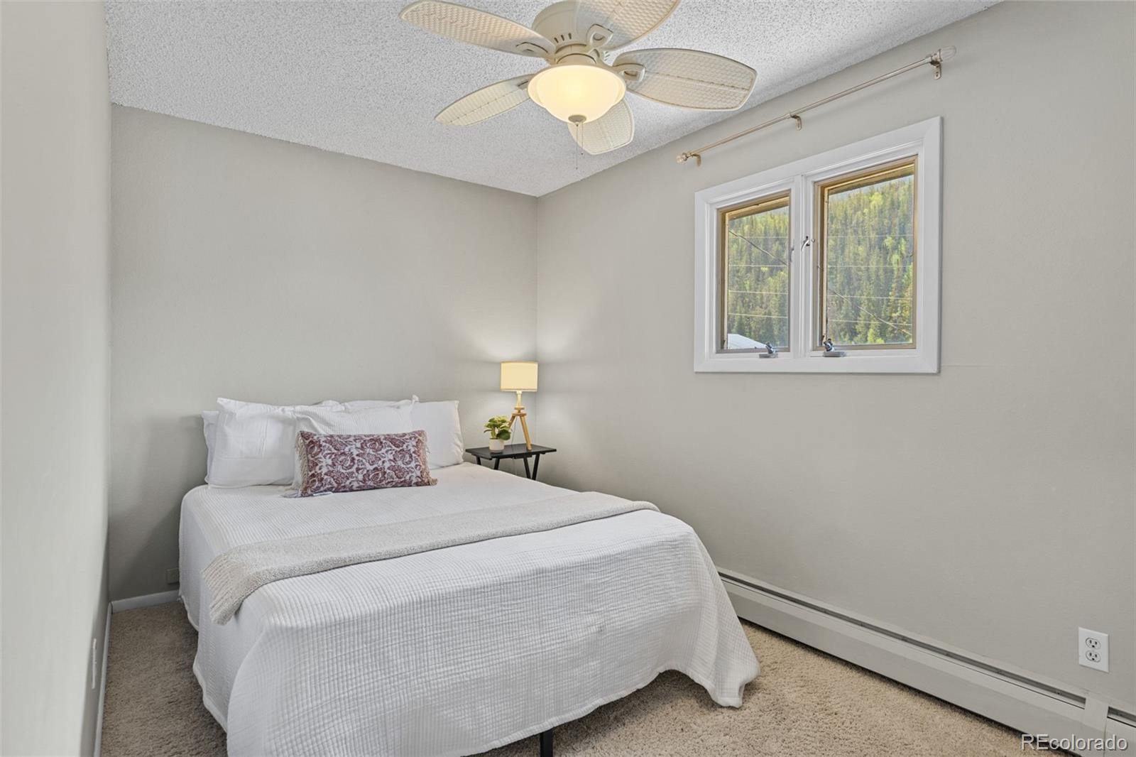 MLS Image #22 for 1054  straight creek drive,dillon, Colorado