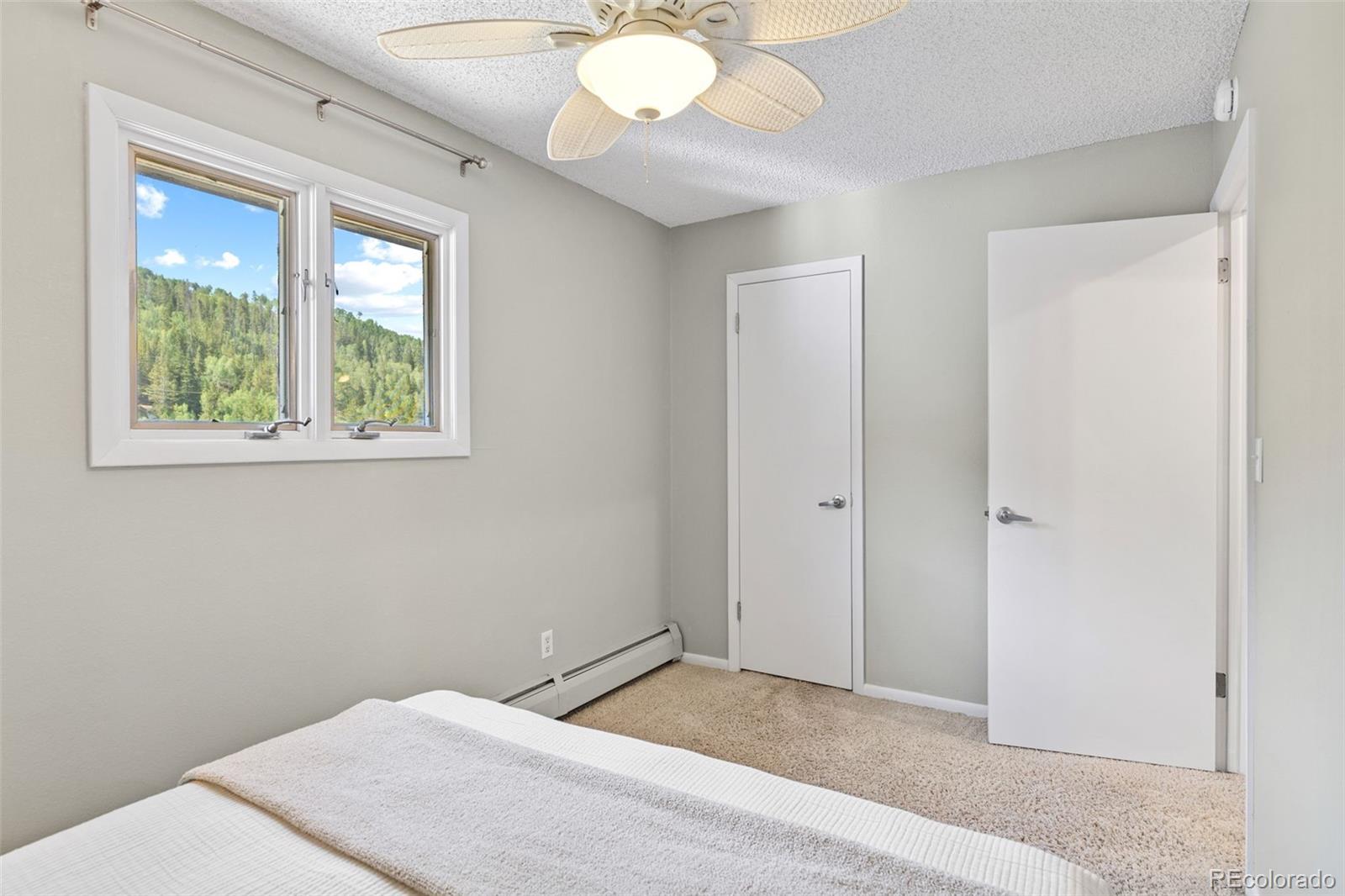 MLS Image #23 for 1054  straight creek drive,dillon, Colorado