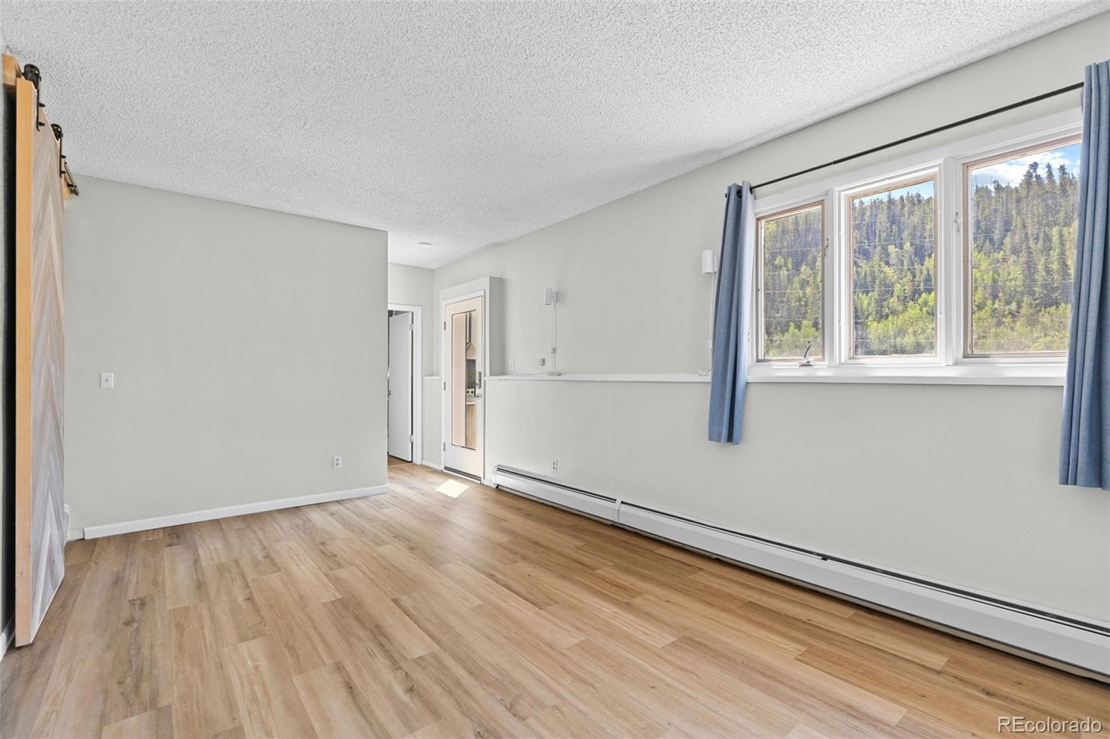 MLS Image #26 for 1054  straight creek drive,dillon, Colorado