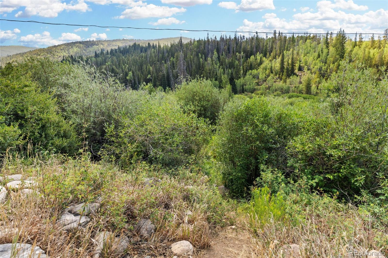 MLS Image #38 for 1054  straight creek drive,dillon, Colorado