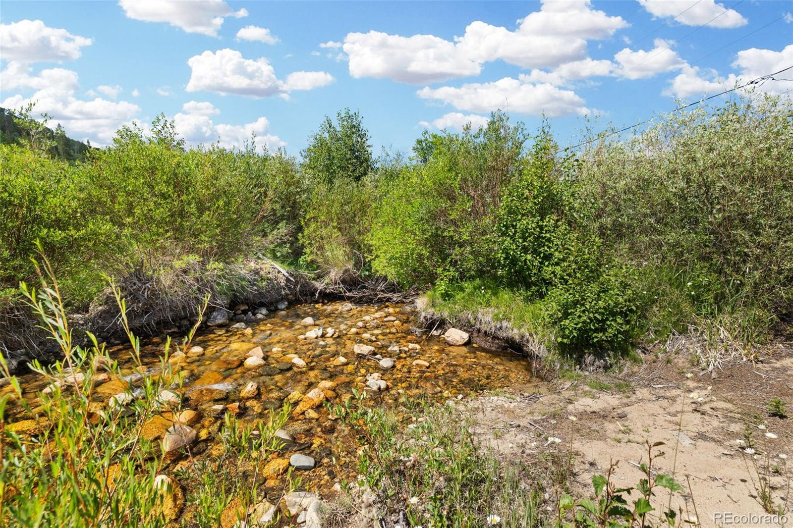 MLS Image #39 for 1054  straight creek drive,dillon, Colorado