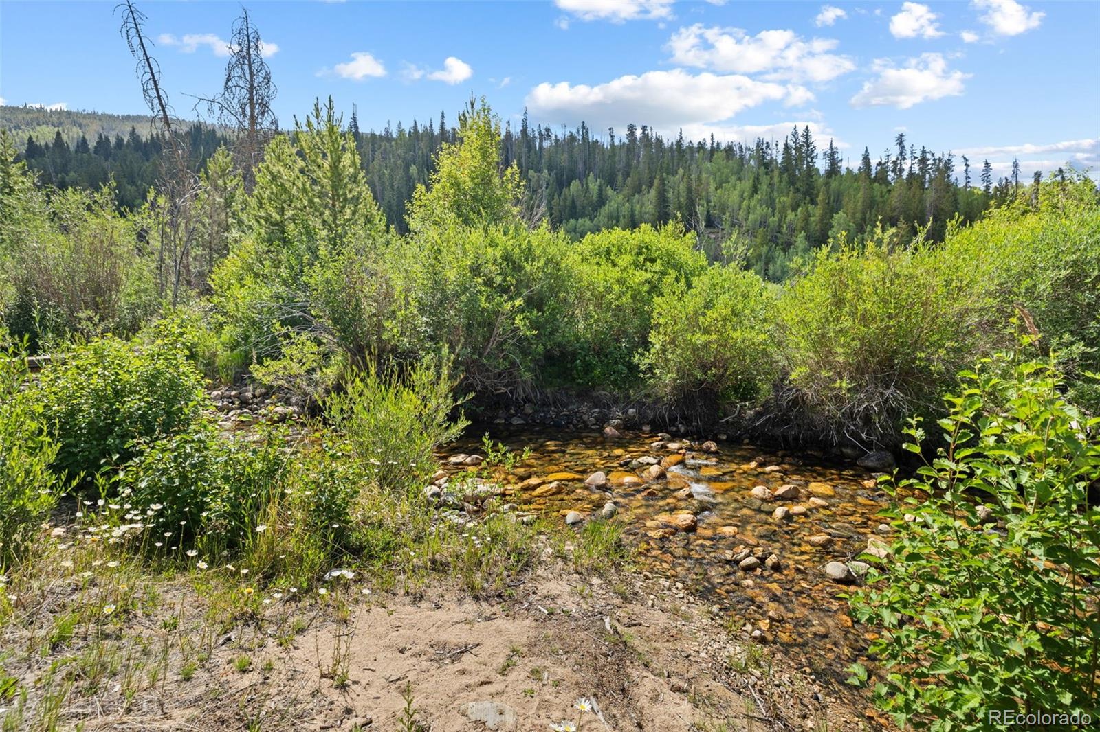 MLS Image #4 for 1054  straight creek drive,dillon, Colorado