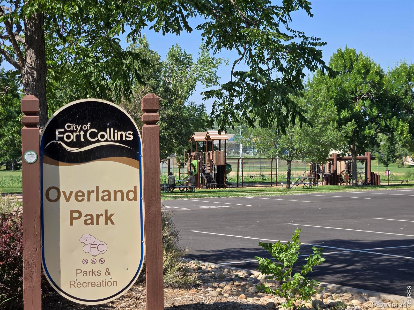 MLS Image #22 for 1015  andrews peak drive,fort collins, Colorado